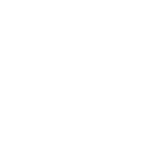 WhatsApp Icon